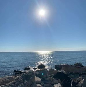 Meet your Posher, Wayne